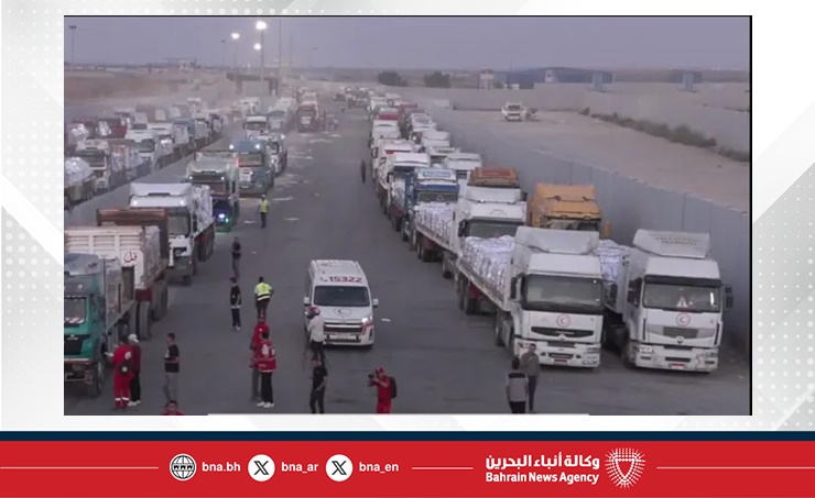 مصر : انطلاق قافلة المساعدات الانسانية الـ29 إلى غزة