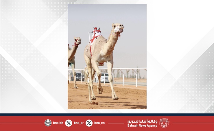 سمو الشيخ ناصر بن حمد آل خليفة يشيد بالنتائج المميزة للهجن البحرينية في مهرجان خادم الحرمين الشريفين 2026