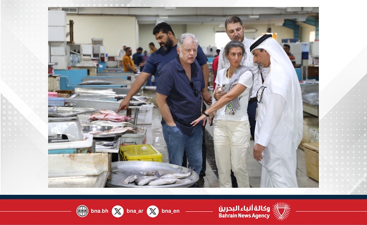 المجلس الأعلى للبيئة يستقبل وفد منظمة الفاو لتعزيز النظم الإحصائية السمكية (FAO)