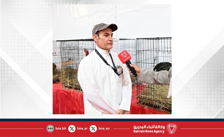 في رابع أيامه .. مراعي 2025 منصة متنوعة لعرض سلالات حمام الزينة والدواجن النادرة