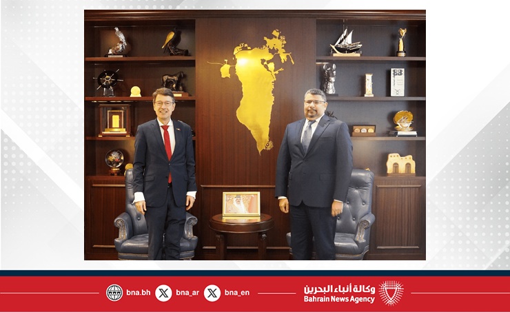 Electricity Minister receives German Ambassador