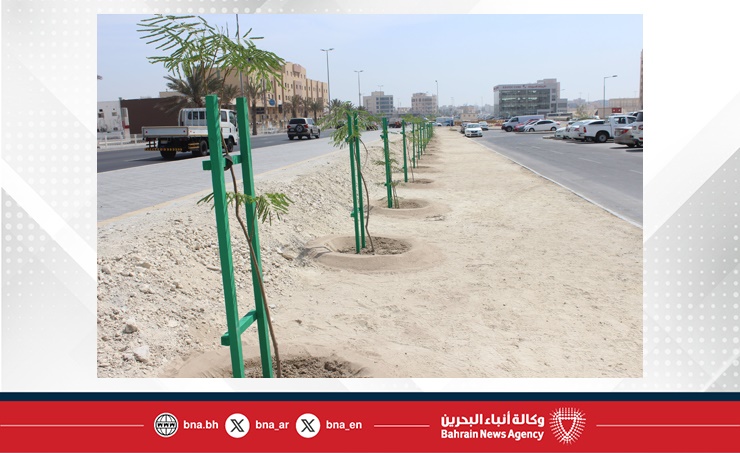 ضمن المرحلة الرابعة من (دمت خضراء).. تشجير شارع المحزورة في المحافظة الجنوبية