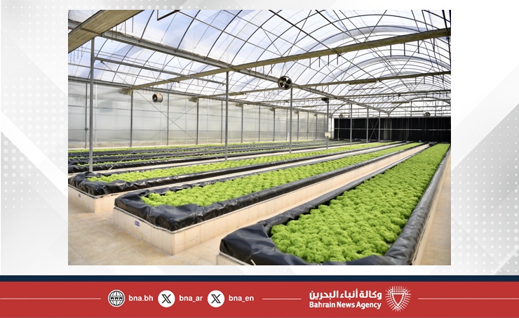 تضم 40 ألف متر مربع من البيوت المحمية الحديثة.. وزير شؤون البلديات والزراعة يزور مشروع دار أكو للاستزراع في هورة عالي ويتفقد أقسام الإنتاج