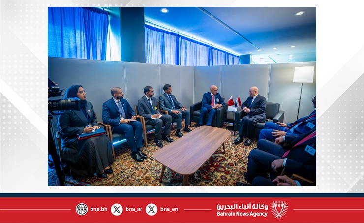 وزير الخارجية يلتقي مع رئيس مجلس القيادة الرئاسي في الجمهورية اليمنية