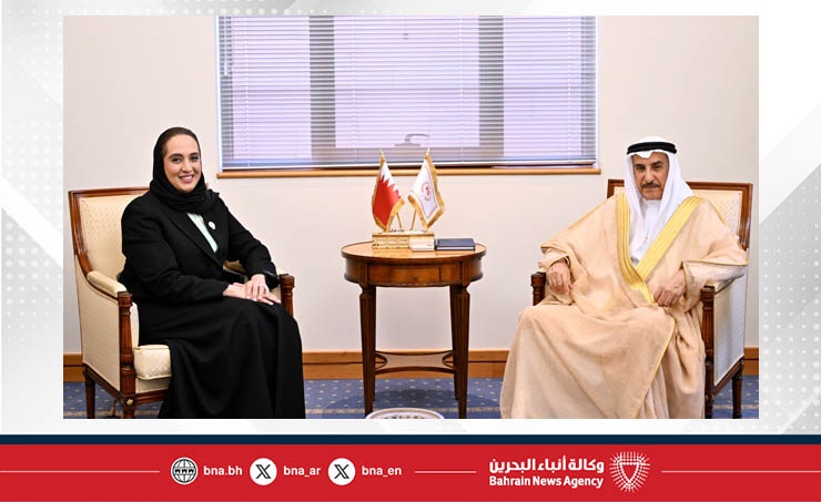 Deputy Prime Minister Meets Housing Minister