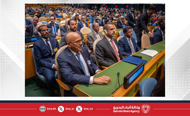 وزير الخارجية يشارك في المؤتمر الدولي من أجل التسوية السلمية لقضية فلسطين وتنفيذ حل الدولتين