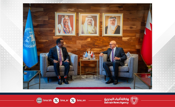 وزير الخارجية يلتقي مع وزير الخارجية والتعاون الدولي في جمهورية الصومال الفيدرالية