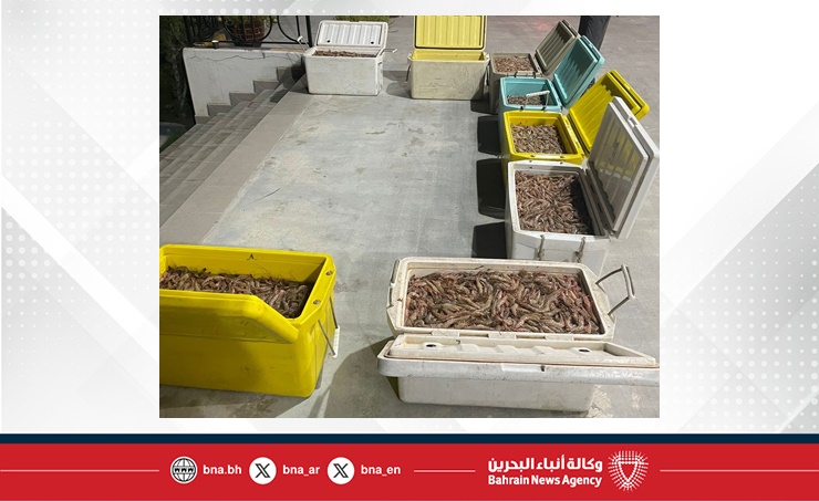 القبض على شخص بحوزته 288 كيلوجرام من الروبيان تم صيده بواسطة شباك الجر القاعية