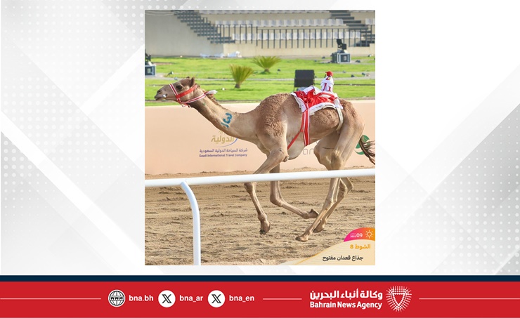"الهندواني" يضيف إنجازًا جديدًا للهجن البحرينية في مهرجان ولي العهد السعودي