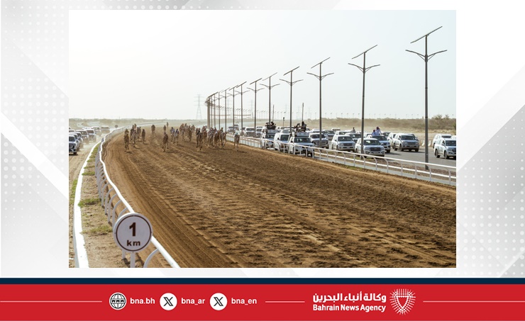 "الشاهينية" و"صمصام" يبصمان على تألق الهجن البحرينية في مهرجان ولي العهد السعودي