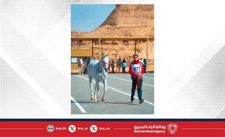 الفريق الملكي يستعد للمشاركة في كأس الفرسان 2026 للقدرة في محافظة العلا