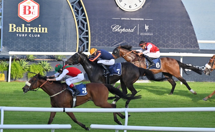 Rashid Equestrian Club holds season’s 24th race
