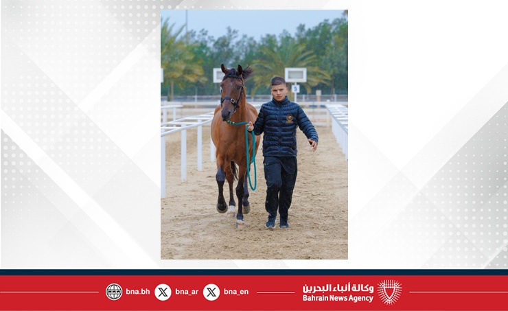 الاتحاد الملكي ينظم الفحص البيطري للجياد المشاركة في بطولة العيد الوطني للقدرة