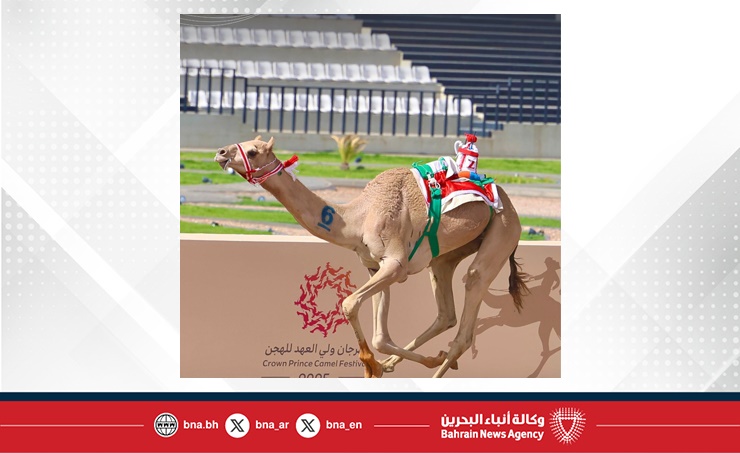 "السريع" يهدي البحرين ذهب مهرجان ولي العهد السعودي للهجن