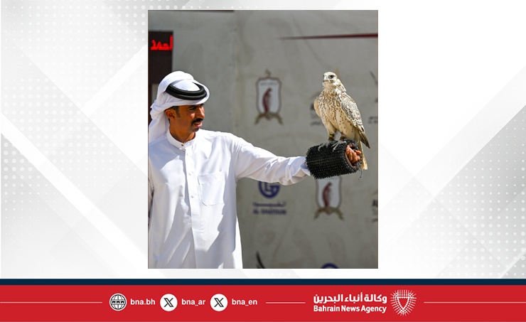 إنجازات بحرينية مميزة في كأس رئيس دولة الإمارات للصقور