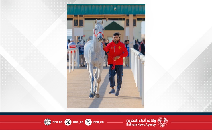 الفريق الملكي للقدرة يشارك في سباق بطولة المجموعة الإقليمية السابعة بأبوظبي