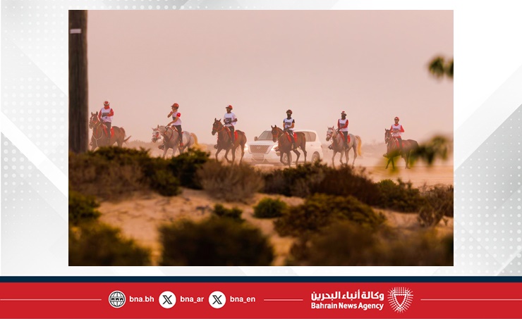 الاتحاد الملكي للفروسية وسباقات القدرة ينظم بطولة العيد الوطني للقدرة... رئيس الاتحاد: البطولة تتزامن مع مناسبة عزيزة على قلوب الجميع