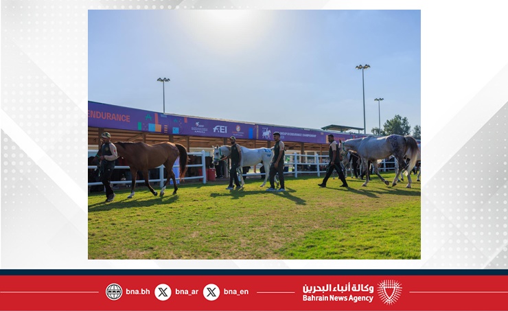 الفريق الملكي للقدرة يشارك في سباق بطولة المجموعة الإقليمية السابعة بأبوظبي