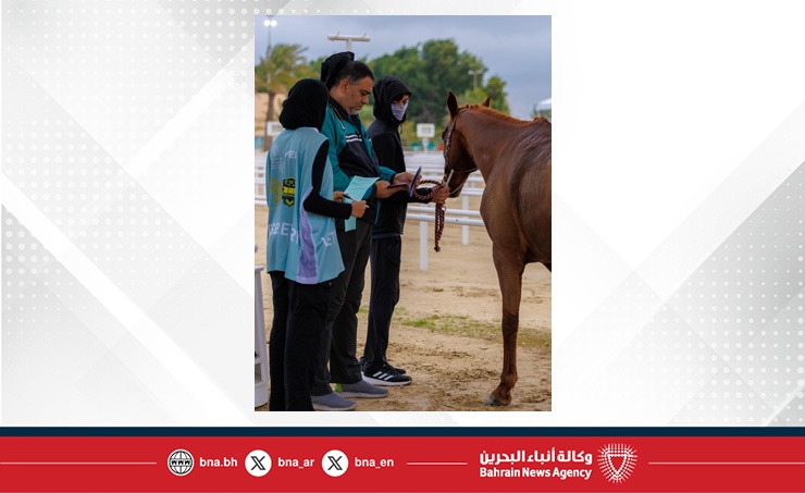 الاتحاد الملكي ينظم الفحص البيطري للجياد المشاركة في بطولة العيد الوطني للقدرة