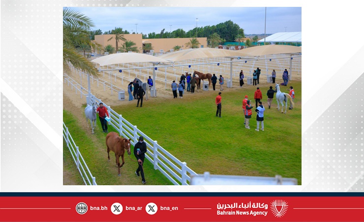 الاتحاد الملكي ينظم الفحص البيطري للجياد المشاركة في بطولة العيد الوطني للقدرة