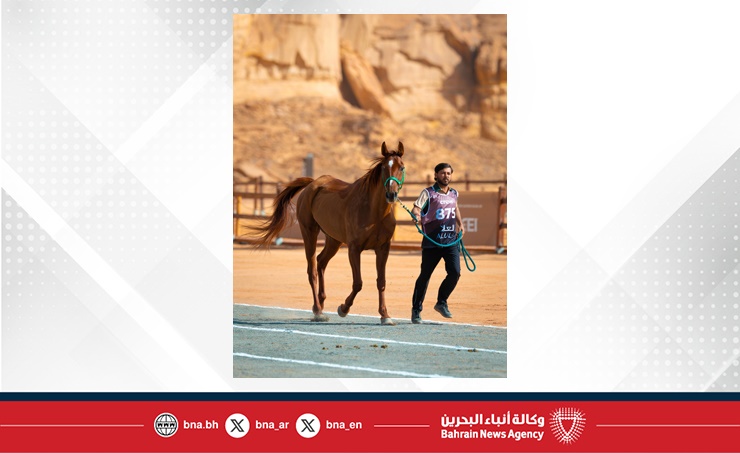 الفريق الملكي يستعد للمشاركة في كأس الفرسان 2026 للقدرة في محافظة العلا