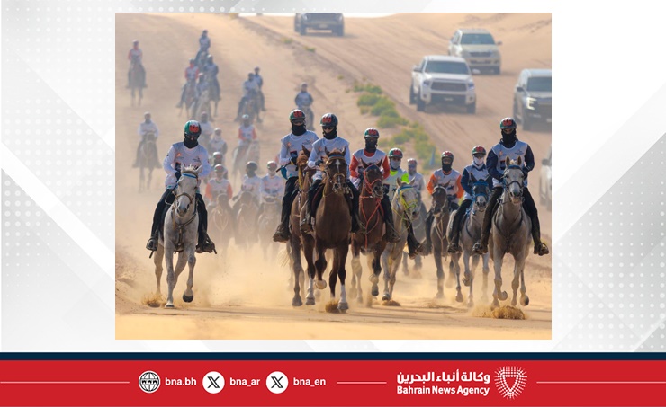 الفريق الملكي للقدرة ينهي مشاركته في سباق بطولة المجموعة الإقليمية السابعة للقدرة