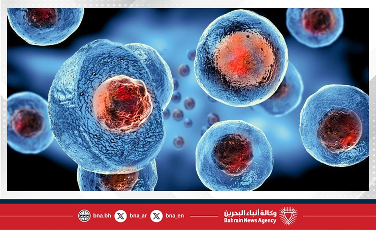 باحثون يبتكرون مادة هلامية من الفطر لتجديد الأنسجة
