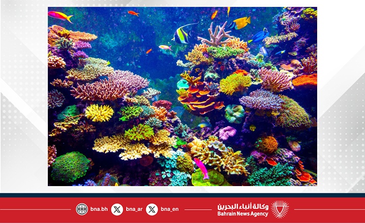 علماء يحذرون من أن العالم وصل لأول نقطة تحول مناخي له بعد "الموت التدريجي" للشعاب المرجانية