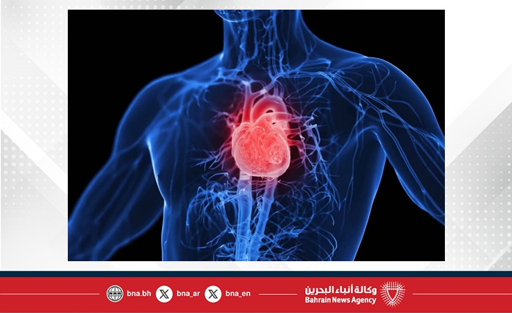 دراسة: التدريبات الرياضية أقل من خمس دقائق يوميًا تساعد في الحفاظ على صحة القلب