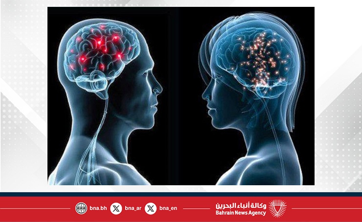 دراسة: الرجال أكثر عرضة من النساء لتدهور الدماغ مع التقدم في السن