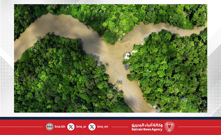 دراسة: تحول غابات أستراليا المطيرة إلى مصدر لانبعاثات الكربون نتيجة تغير المناخ