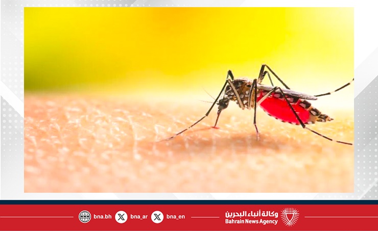 بنجلادش تسجل أكثر من 33800 إصابة بحمى الضنك