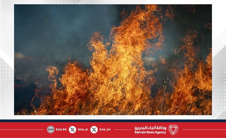 حريق في منطقة صناعية بألمانيا يتسبب في خسائر تقارب 75 مليون يورو
